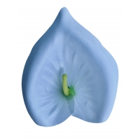 Calla head atlas white