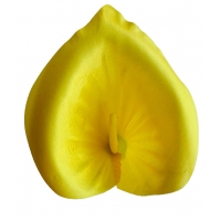 Calla head atlas white