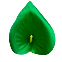 Голівка кала атласна зелена
