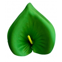 Голівка кала атласна оливкова