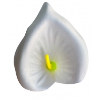 Голівка кала атласна молочна