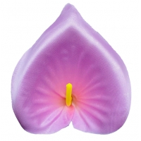 Calla head atlas pink