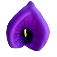 Головка калла атласная светло-фиолетовая