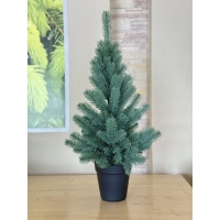 Ялинка сувенірна блакитна 70 см. в горщику