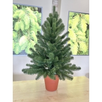 Ялинка сувенірна зелена 90 см. в горщику