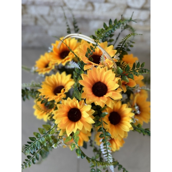 Сосна, 1,5 м. Розпушена