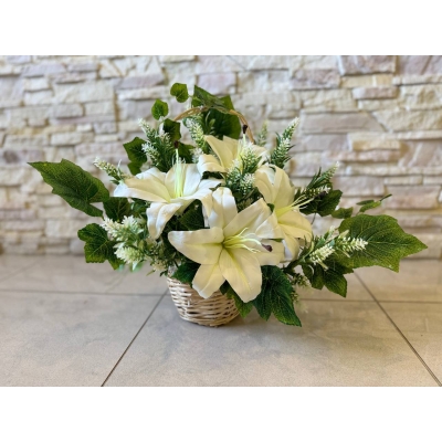 Сосна, 1,5 м. Розпушена