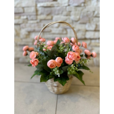 Сосна, 1,5 м. Розпушена