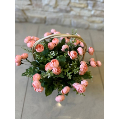 Сосна, 1,5 м. Розпушена