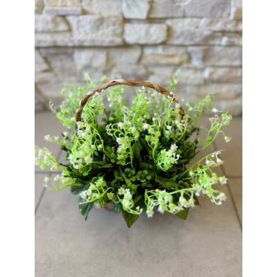 Сосна, 1,5 м. Розпушена