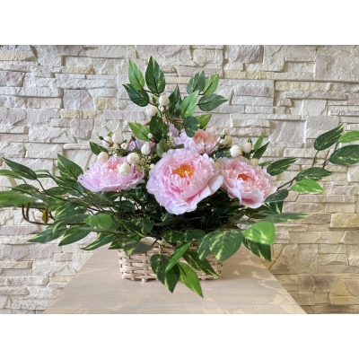 Сосна, 1,5 м. Розпушена