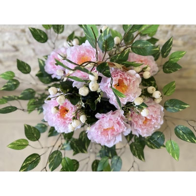 Сосна, 1,5 м. Розпушена