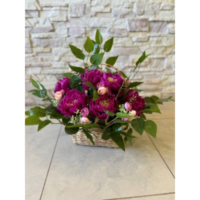 Сосна, 1,5 м. Розпушена