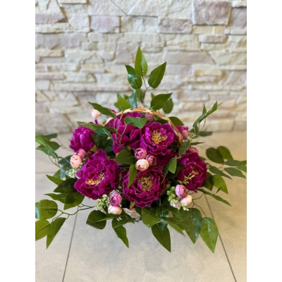 Сосна, 1,5 м. Розпушена