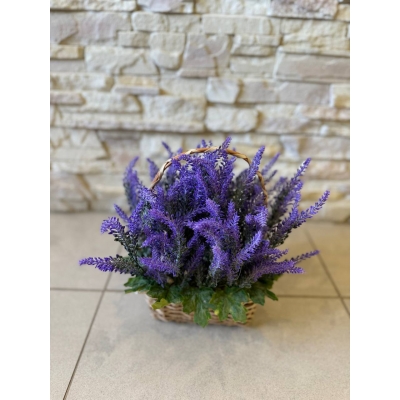 Сосна, 1,5 м. Розпушена