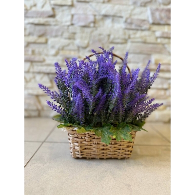 Сосна, 1,5 м. Розпушена