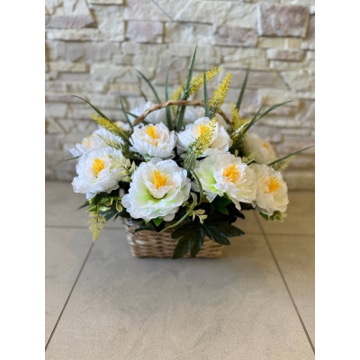 Сосна, 1,5 м. Розпушена