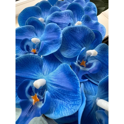 Сосна, 1,5 м. Розпушена