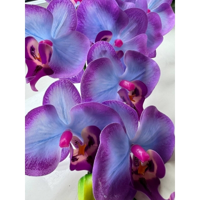 Сосна, 1,5 м. Розпушена