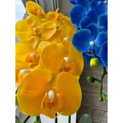 Сосна, 1,5 м. Розпушена