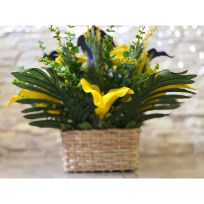 Сосна, 1,5 м. Розпушена