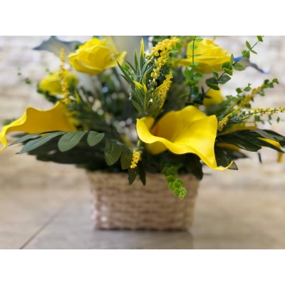 Сосна, 1,5 м. Розпушена