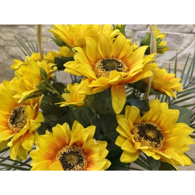 Сосна, 1,5 м. Розпушена