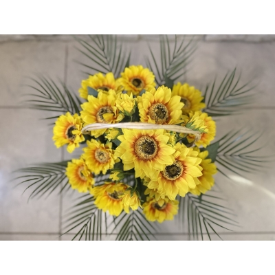 Сосна, 1,5 м. Розпушена