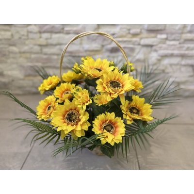 Сосна, 1,5 м. Розпушена