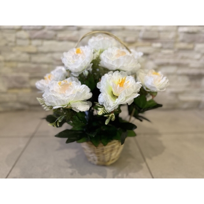 Сосна, 1,5 м. Розпушена