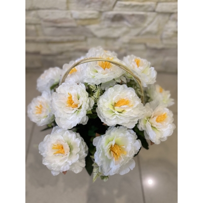 Сосна, 1,5 м. Розпушена