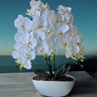 Artificial orchid latex pot 3 branch