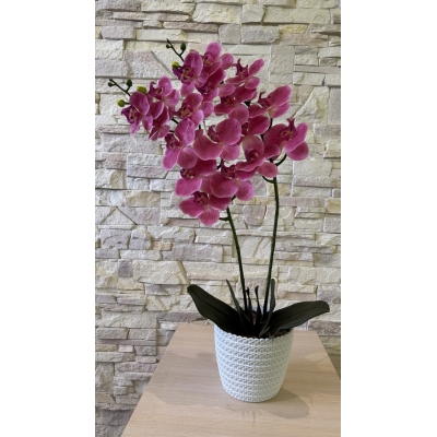 Сосна, 1,5 м. Розпушена