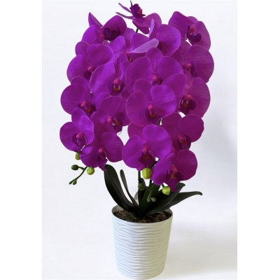 Сосна, 1,5 м. Розпушена