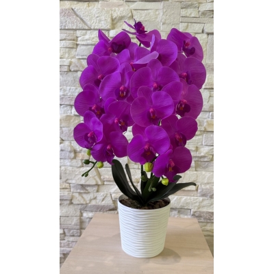 Сосна, 1,5 м. Розпушена