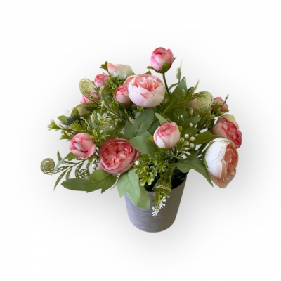 Сосна, 1,5 м. Розпушена