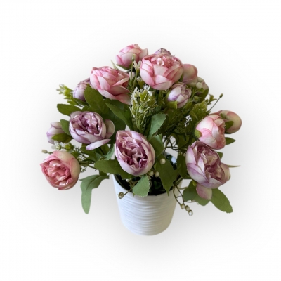 Сосна, 1,5 м. Розпушена