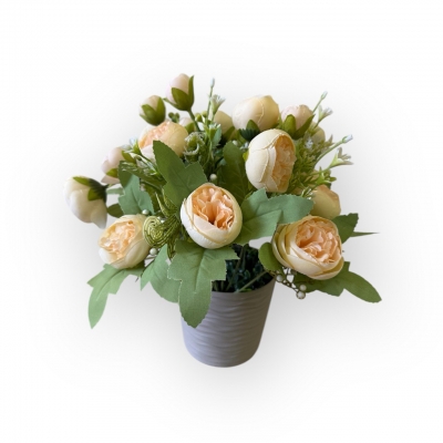 Сосна, 1,5 м. Розпушена