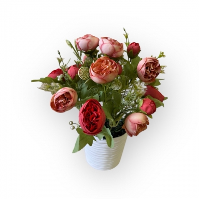 Сосна, 1,5 м. Розпушена