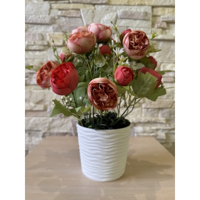 Сосна, 1,5 м. Розпушена