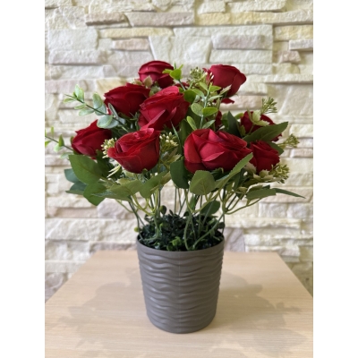 Сосна, 1,5 м. Розпушена