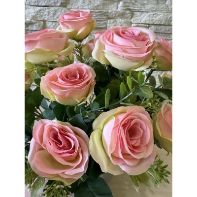 Сосна, 1,5 м. Розпушена