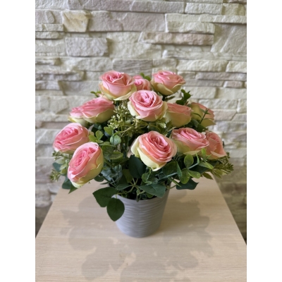 Сосна, 1,5 м. Розпушена