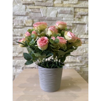 Сосна, 1,5 м. Розпушена