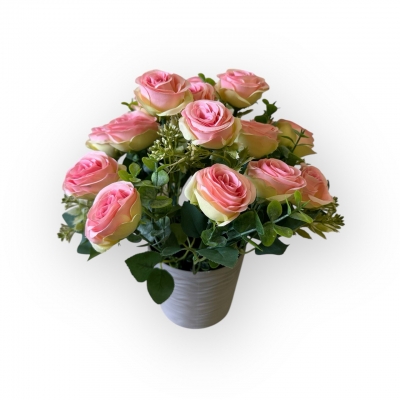 Сосна, 1,5 м. Розпушена