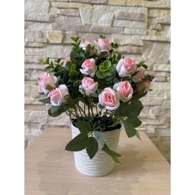 Сосна, 1,5 м. Розпушена