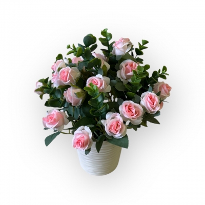 Сосна, 1,5 м. Розпушена