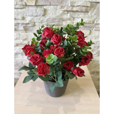 Сосна, 1,5 м. Розпушена