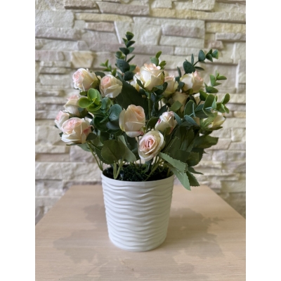 Сосна, 1,5 м. Розпушена