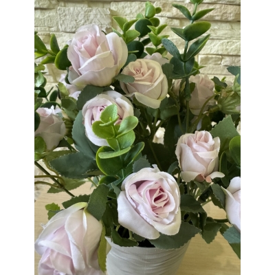 Сосна, 1,5 м. Розпушена